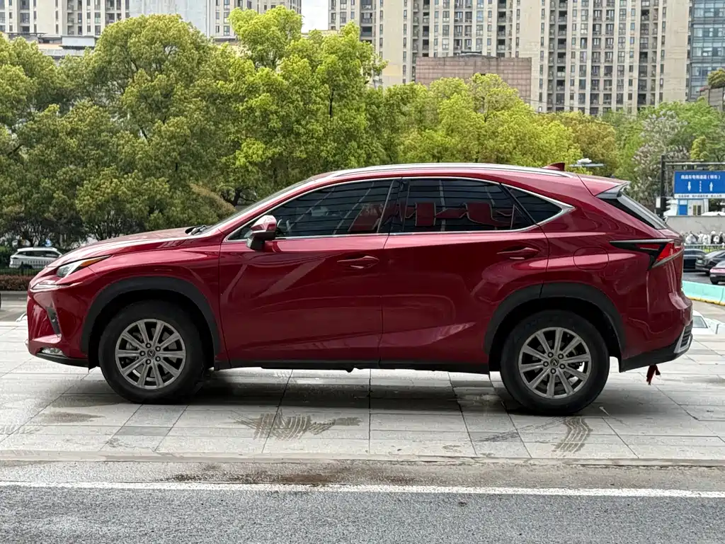 Lexus NX 2020 — фото 26