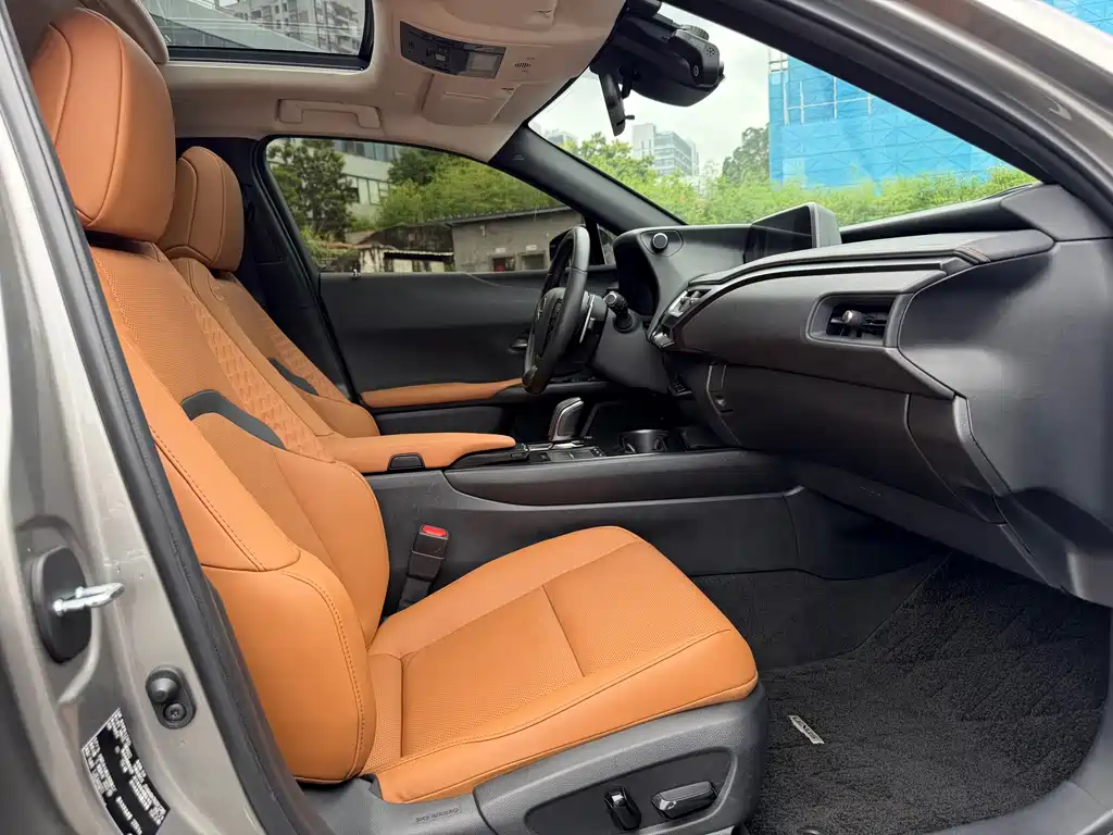 Lexus UX New Energy 2023 — фото 10