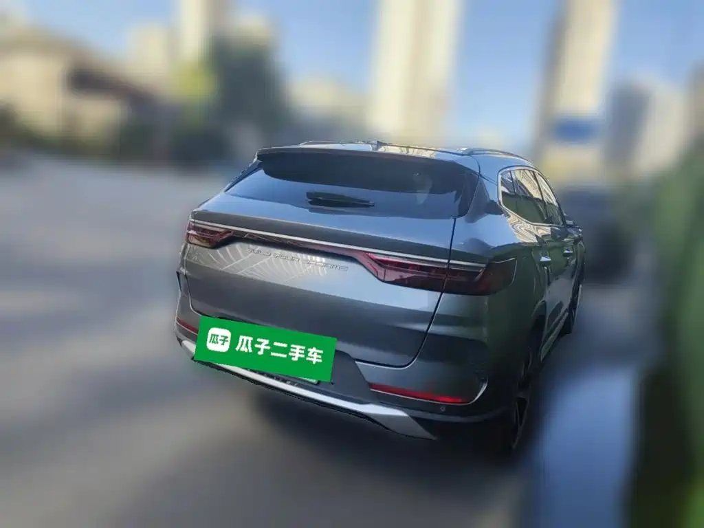 BYD Song PLUS New Energy 2021 — фото 6