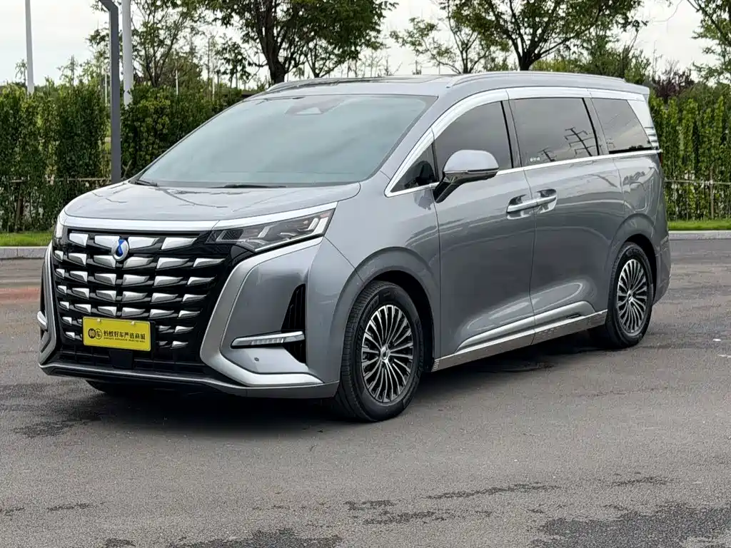 Denza D9 2024 — фото 1