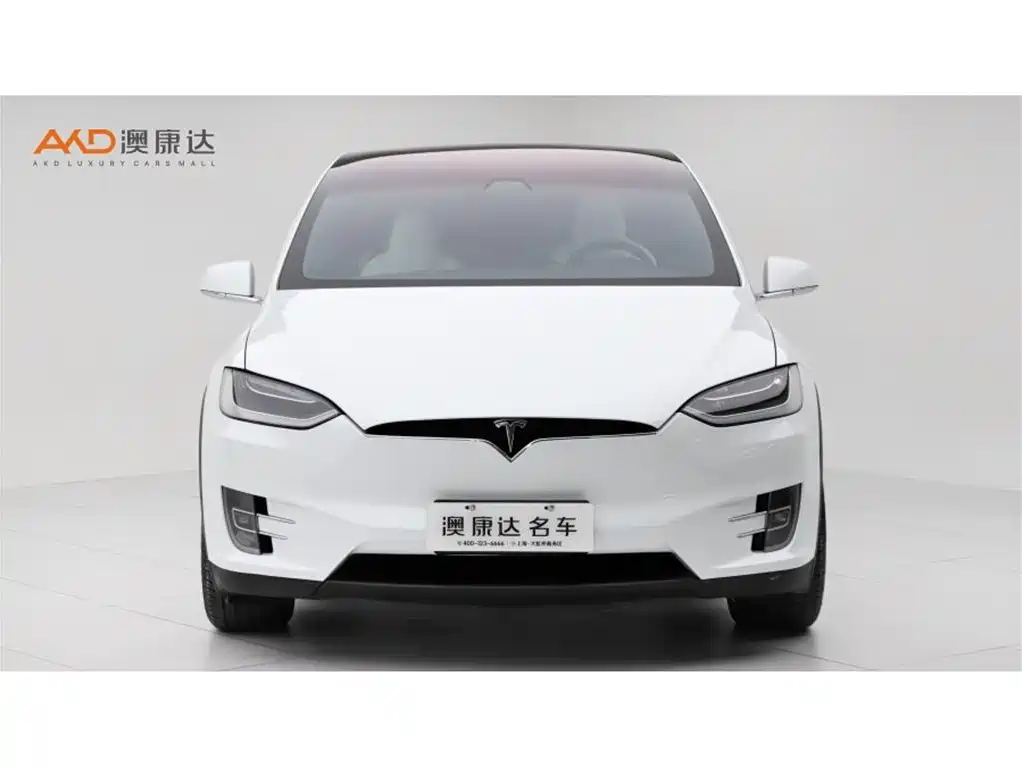 Tesla Model X 2017 — фото 2