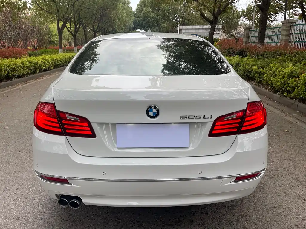 BMW 5 Series 2014 — фото 15