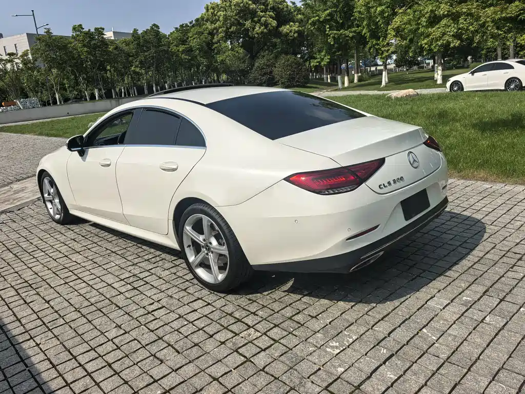 Mercedes-Benz CLS 2019 — фото 5