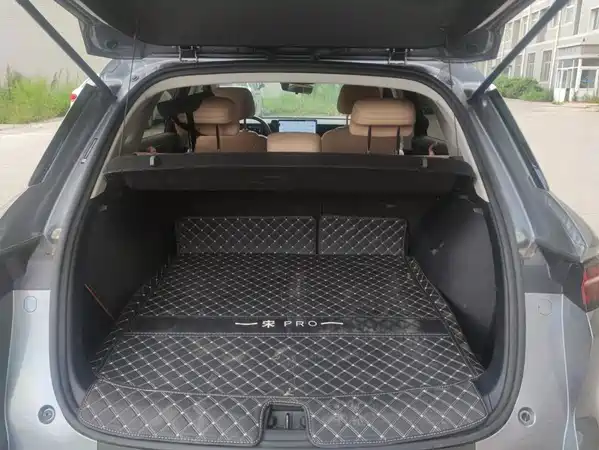 BYD Song Pro New Energy 2024