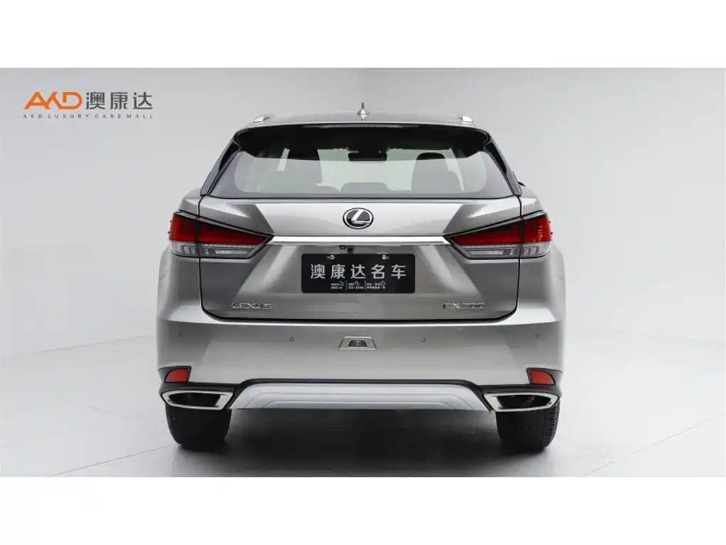 Lexus RX 2020 — фото 4