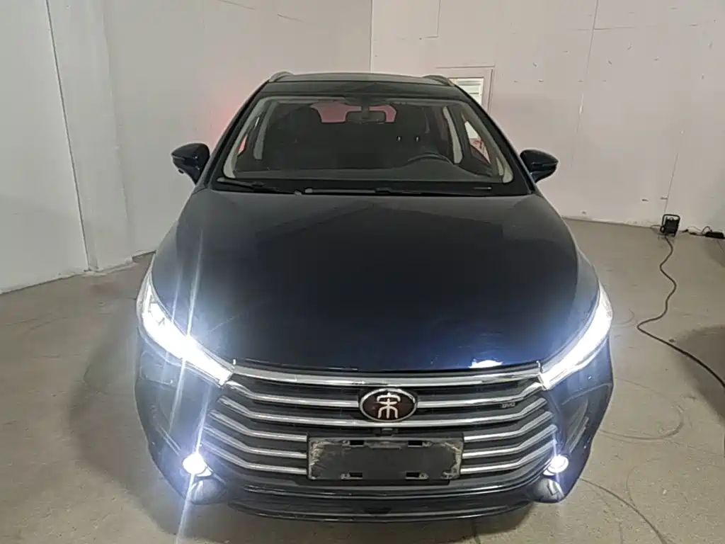 BYD MAX 2019