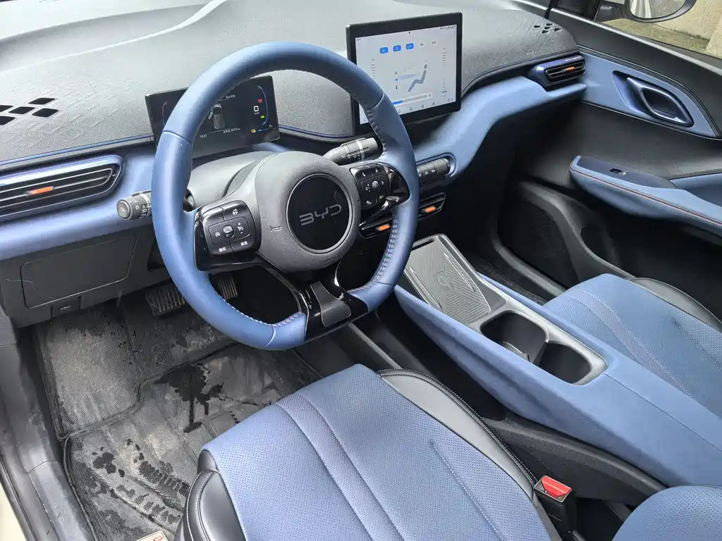 BYD Seagull 2024