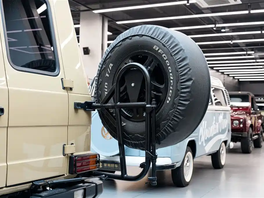 Mercedes-Benz G-Class 2010 — фото 19