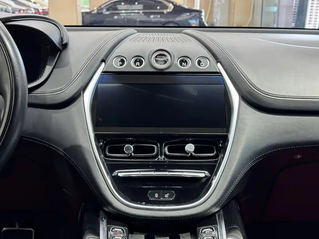 Aston Martin DBX 2022 — фото 15