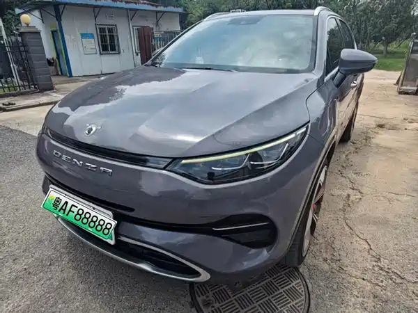 Denza X 2020