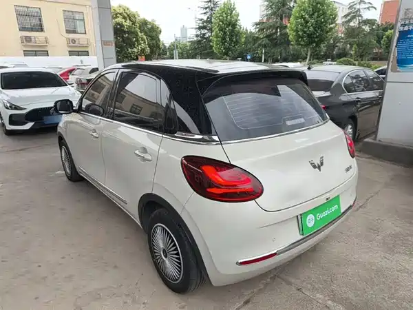 Wuling Bingo 2024