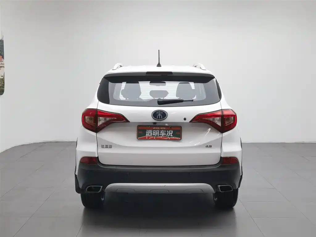 BYD New Energy 2018