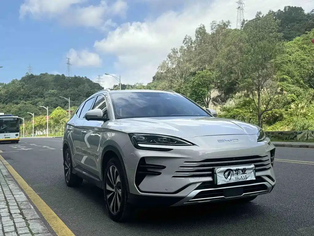BYD PLUS New Energy 2024 — фото 2