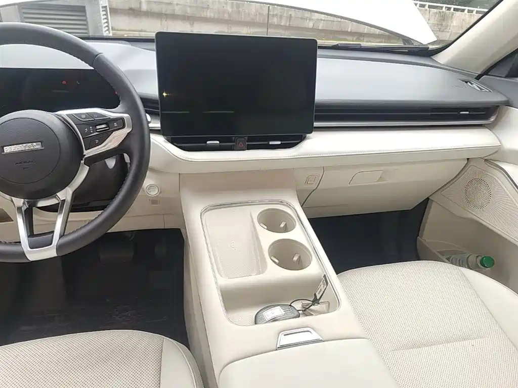 Haval H6 2024 — фото 12