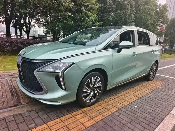 Dongfeng Popular Yacht 2022
