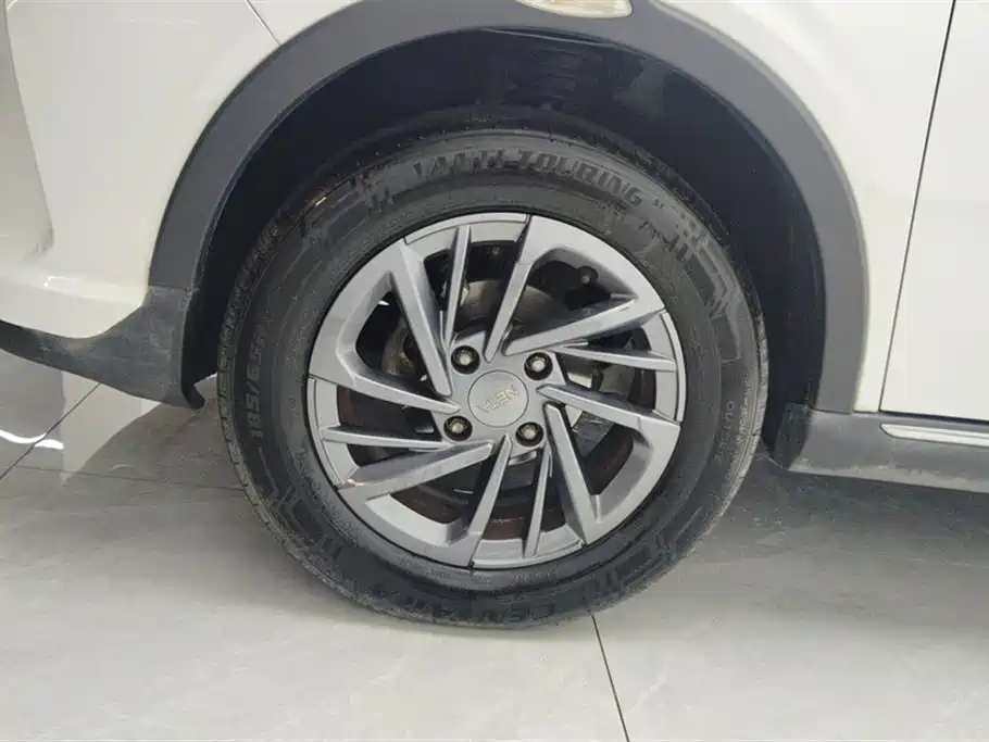 Neta V 2022