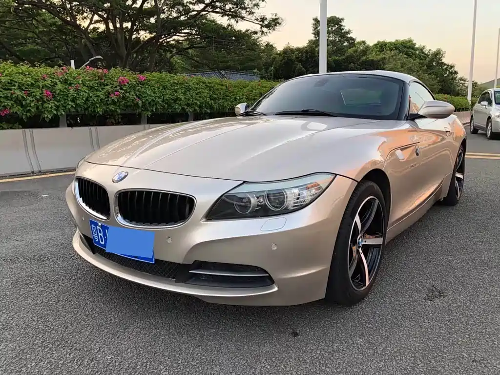 BMW Z4 2010