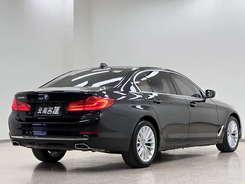 BMW 5 Series 2019