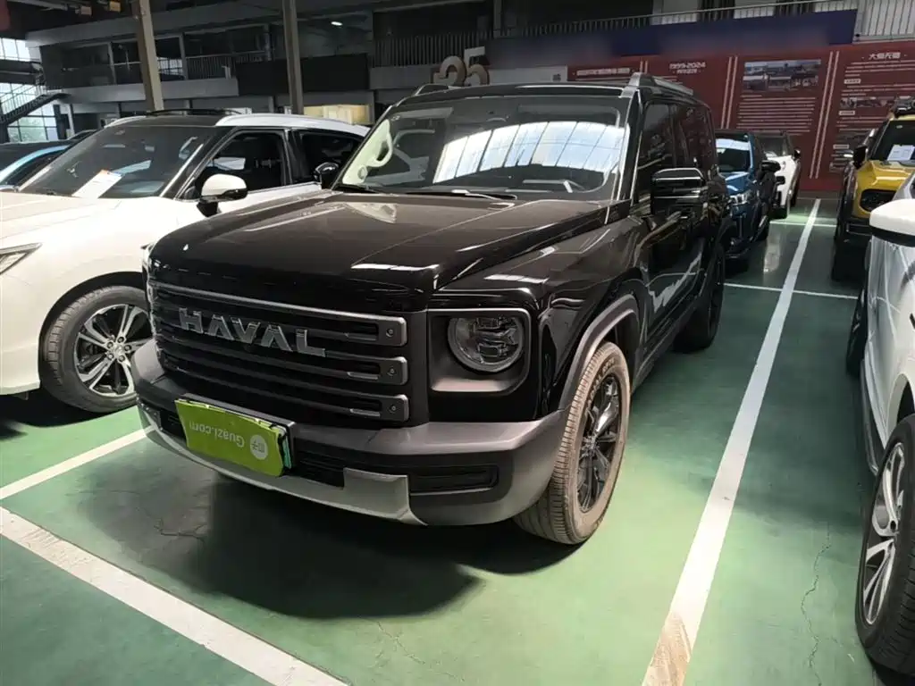Haval Menglong New Energy 2025 — фото 1