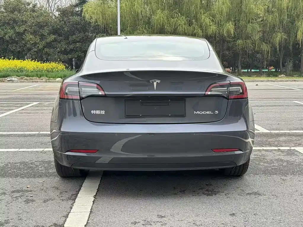 Tesla Model 3 2021 — фото 5
