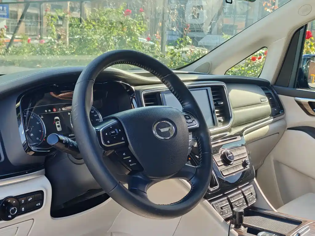 GAC Motor Trumpchi M8 2018 — фото 13