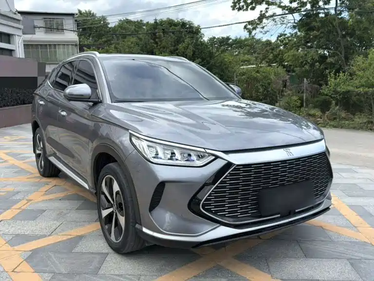 BYD Song PLUS New Energy 2022 — фото 17