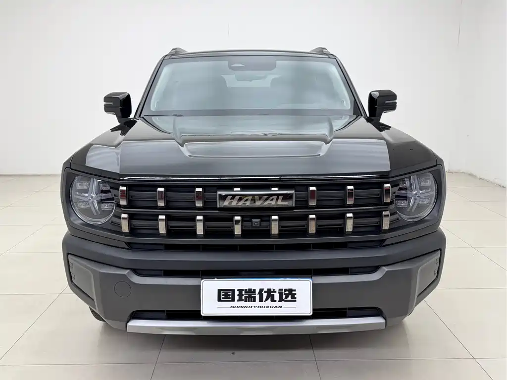 Haval Cool Dog 2022 — фото 2