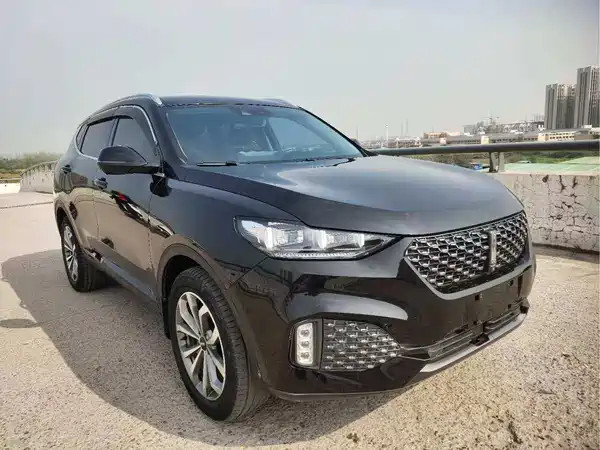 Wey VV6 2020