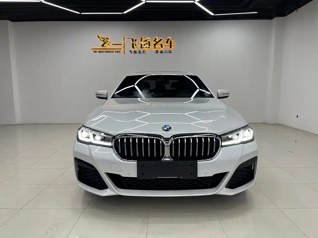 BMW 5 Series New Energy 2021