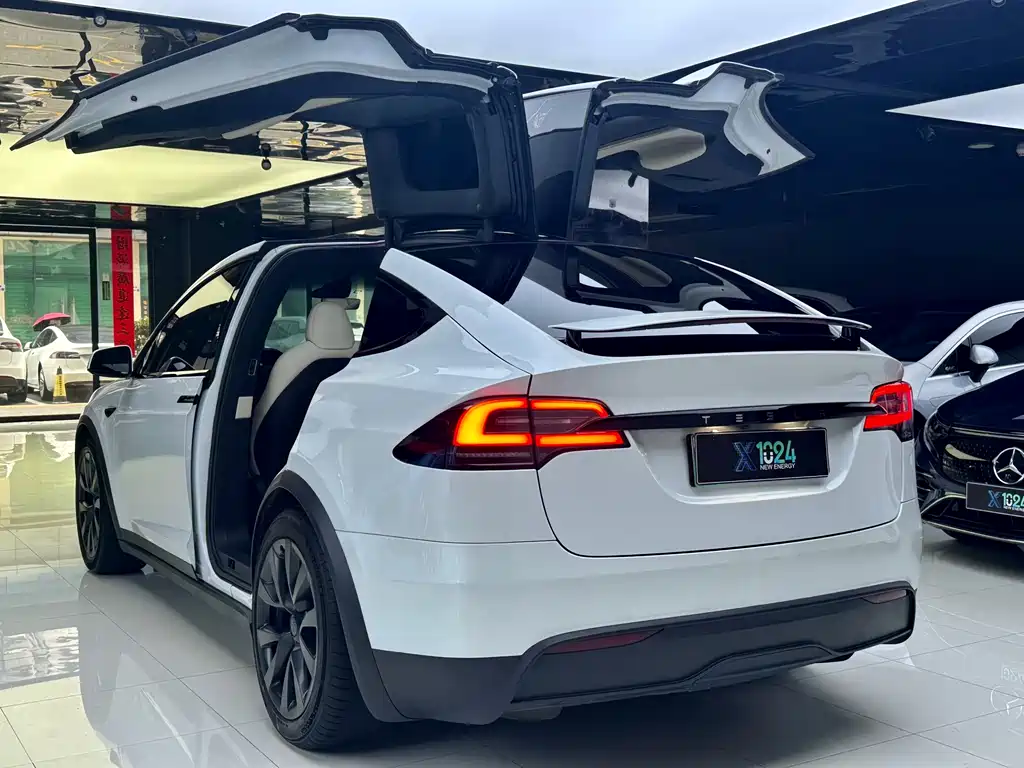 Tesla Model X 2023 — фото 14