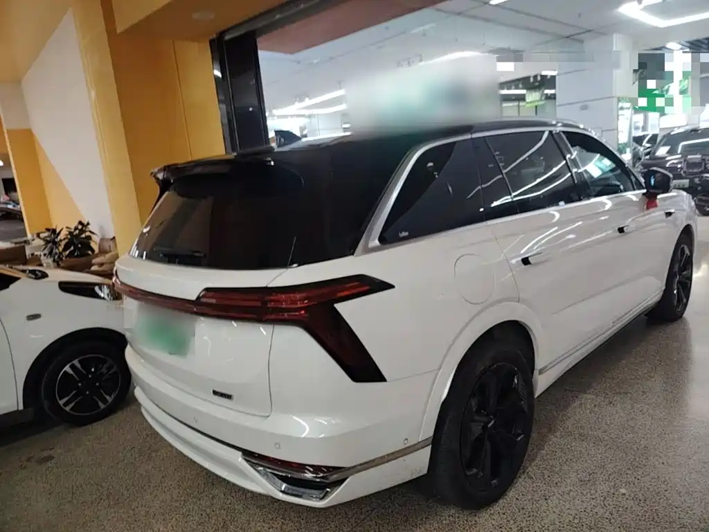 Wey Lanshan 2023