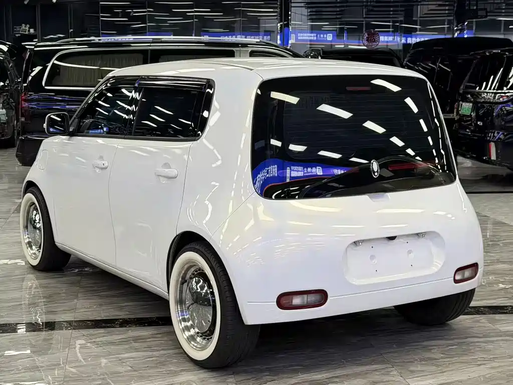 Ora White Cat 2022