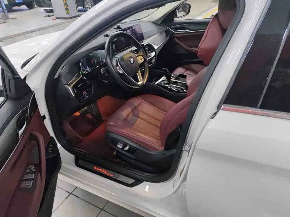 BMW 5 Series New Energy 2021