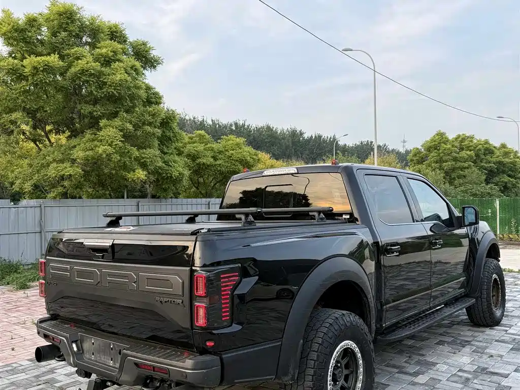 Ford F-150 Raptor 2019 — фото 7