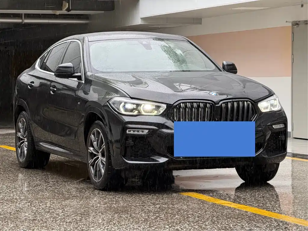 BMW X6 2022