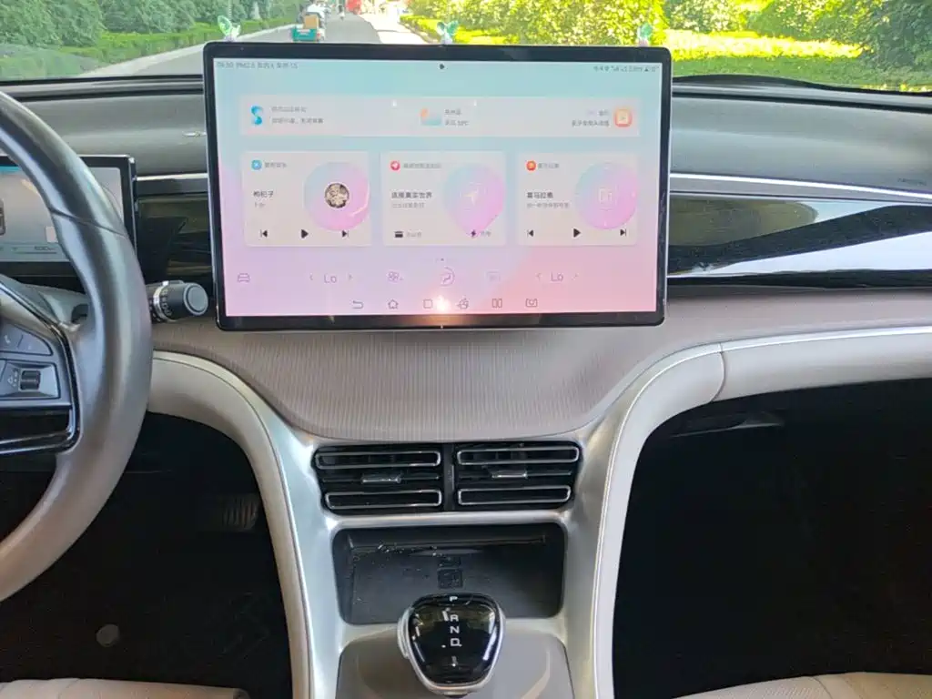 BYD Song Pro New Energy 2024 — фото 13