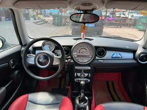 MINI 2010