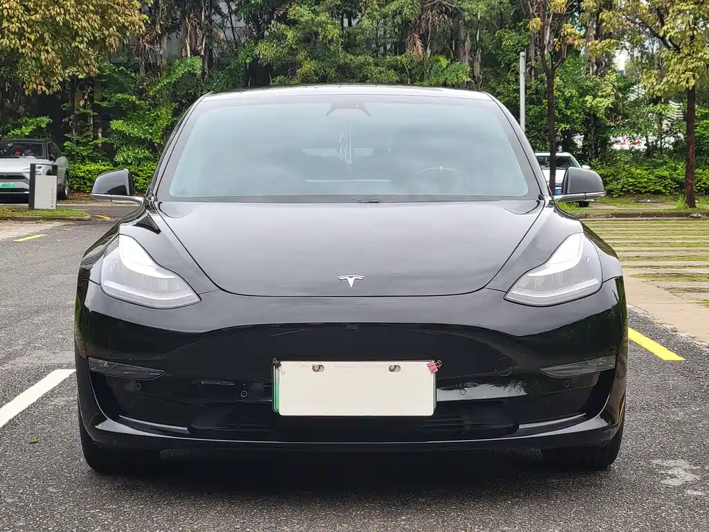 Tesla Model 3 2020 — фото 2