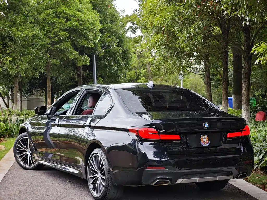 BMW 5 Series 2021