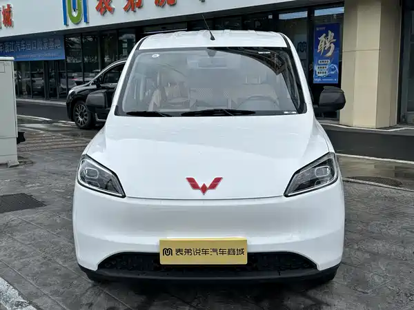 Wuling Hongguang New Energy 2024