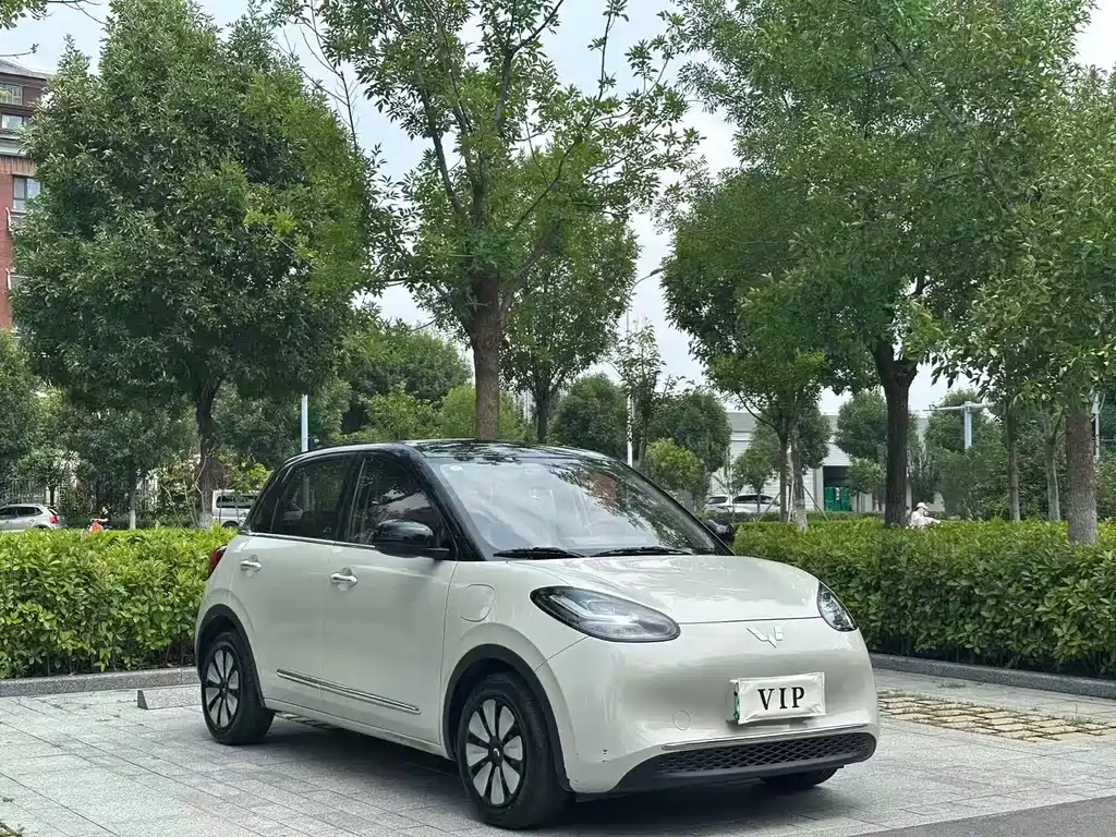 Wuling Bingo 2024