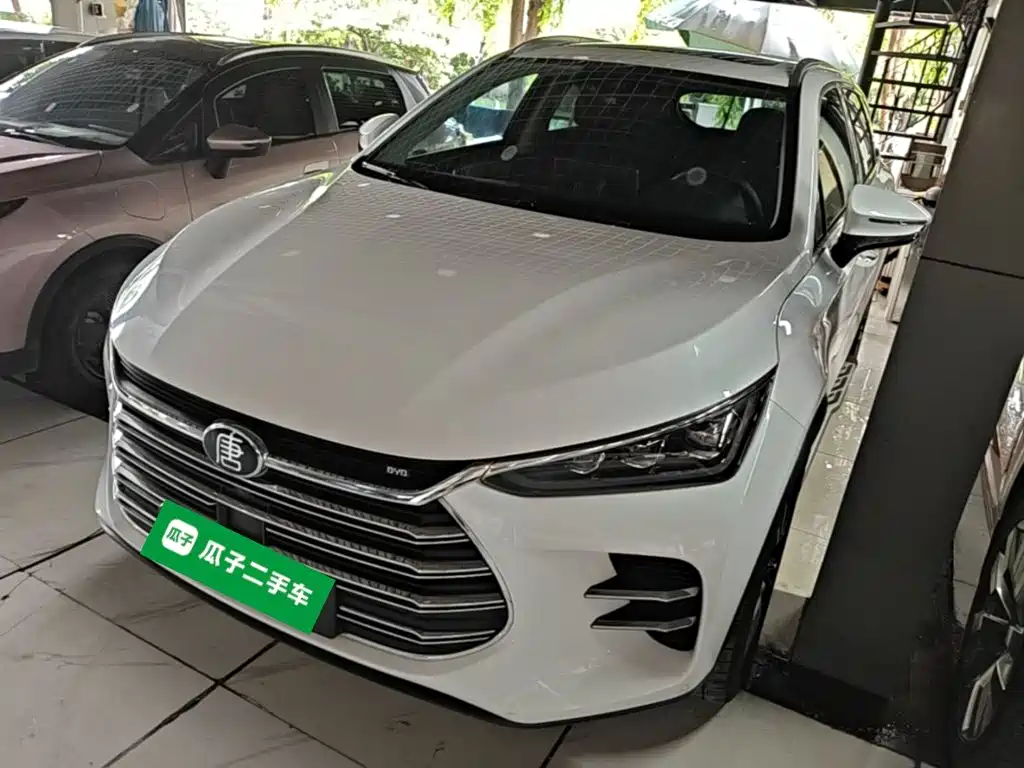 BYD Tang New Energy 2019 — фото 1