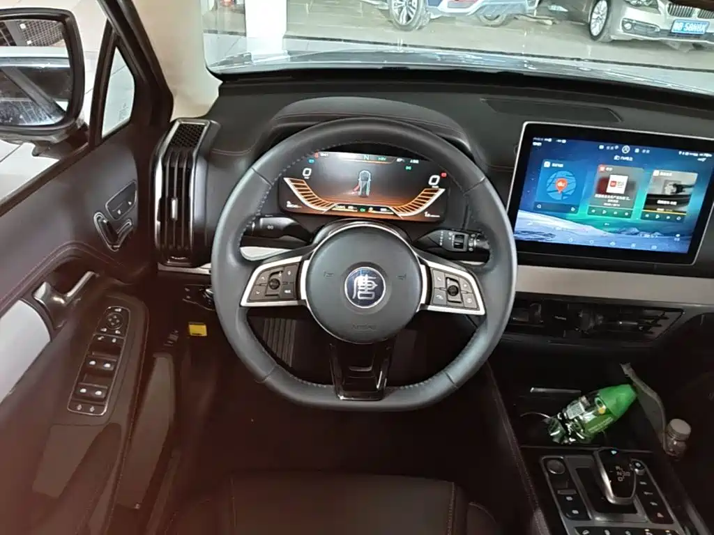 BYD Tang New Energy 2019 — фото 11