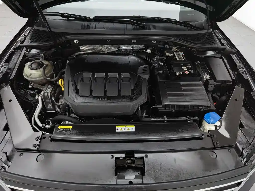 Volkswagen Magotan 2020