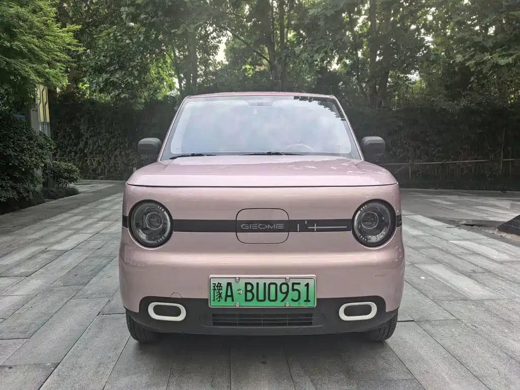 Geely Galaxy Panda 2025