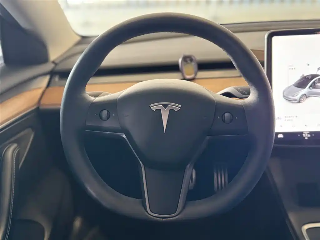 Tesla Model 3 2021 — фото 12