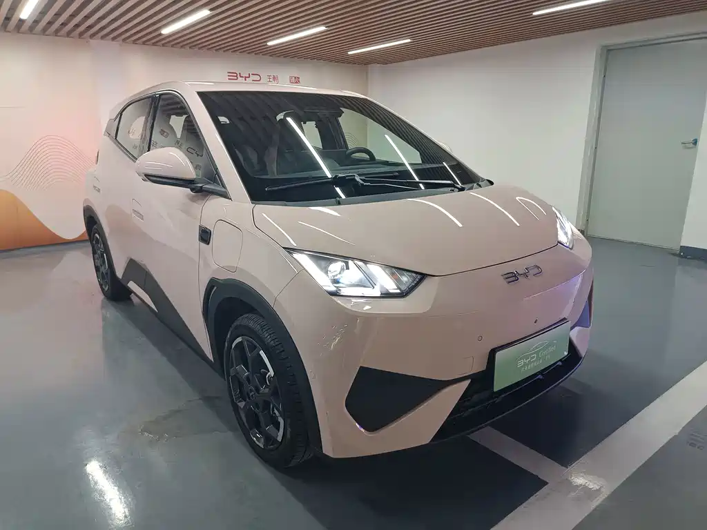 BYD Seagull 2025