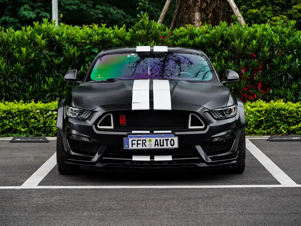 Ford Mustang 2016 — фото 9
