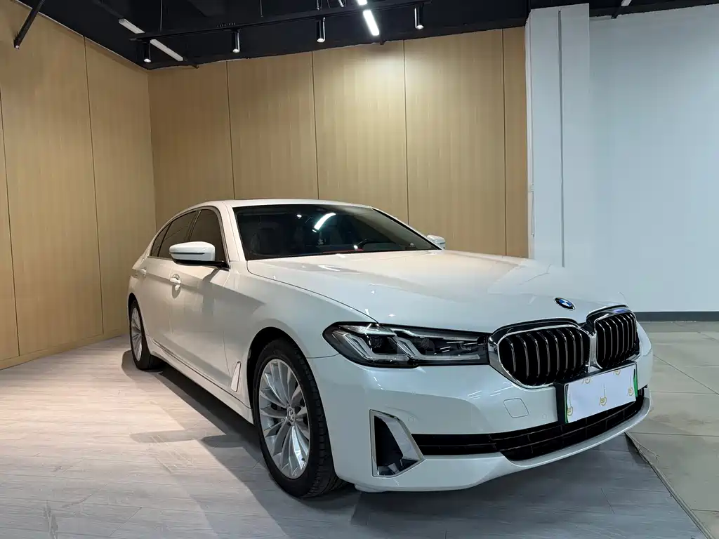 BMW 5 Series New Energy 2021 — фото 3