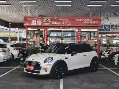 MINI MINI 2017